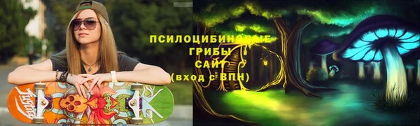 сатива Алексеевка