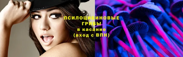 2c-b Алзамай