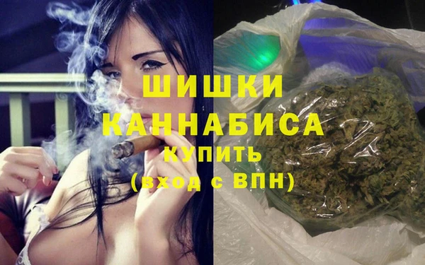сатива Алексеевка