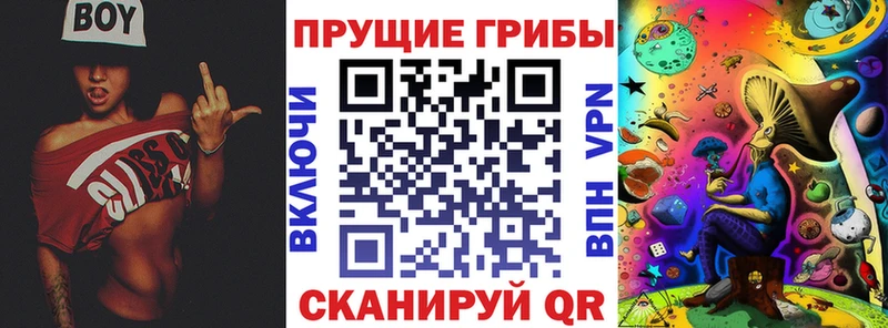 где продают   Калтан  ссылка на мегу маркетплейс  Галлюциногенные грибы Psilocybine cubensis 