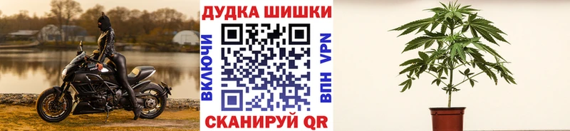 купить  цена  Калтан  Бошки марихуана индика 